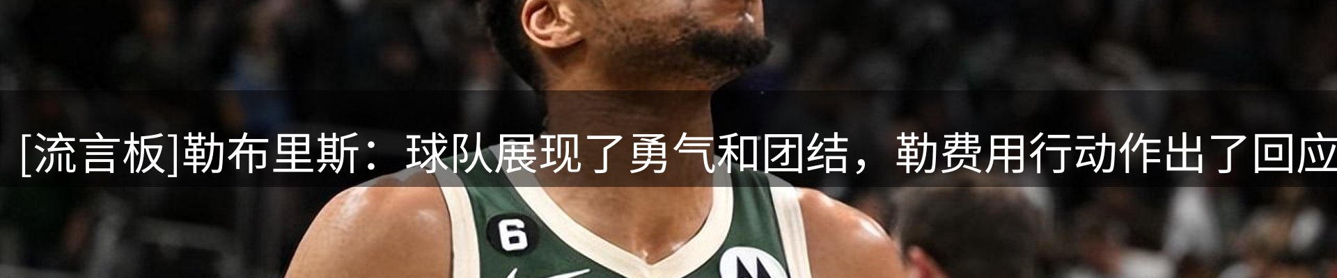 焦点亮点